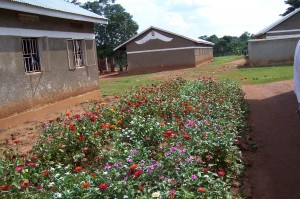 Kasozi Village, Uganda