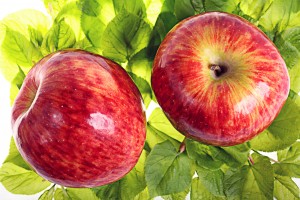 red apple on green leaves