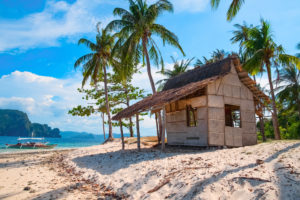 Tropical island landscape